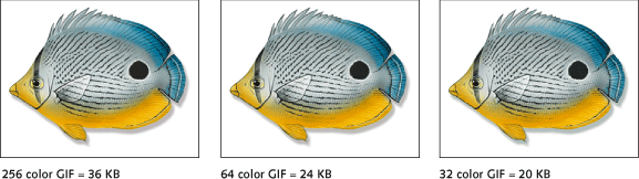 Figure 4.11: Foureye Butterflyfish illustration at different color settings